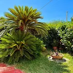 Corallo Villa *